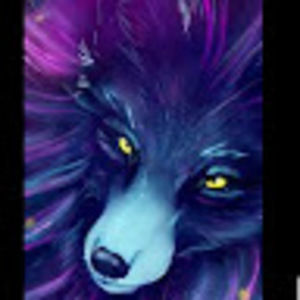 Meet your Posher, Rocky